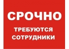 Требуется менеджер-администратор