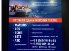 ECDIS SETS Помощь морякам пройти тест