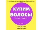 Куплю волосы.