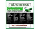 Клеточное питание ELEV8. Продукты здоровья bepic