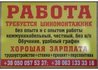 Требуется шиномонтажник. Краматорск