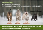 3-х месячный трансформационный онлайн-курс Личной Эволюции и Персональной Эффект