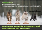 3-х месячный трансформационный онлайн-курс Личной Эволюции и Персональной Эффект