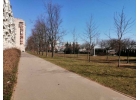 Продам 3-комнатную квартиру в хорошем доме с чистым подъездом.