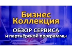 Бизнес-Коллекции. Продвижение и заработок в интернете