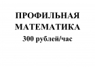 Профильная математика 300 рублейчас Удобно и практично