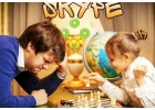Шахматы для детей репетитор тренер