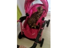 Бенгальские котята