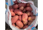 . Картофель оптом с полей КФК.