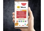Курс «Мобильный Taplink»