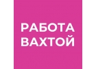 АльянсСтафИнвест работа вахтовым методом.