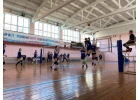 Приглашаем на тренировки по волейболу в Калуге