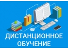 Дистанционное и электронное обучение в частной школе