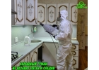 Уничтожение насекомых, грызунов, запахов, вирусов, плесени и др
