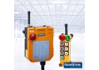 Система радиоуправления кранами TELECRANE Серия F24-6D F24-6S