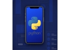 Курс по разработке приложений на языке Python