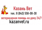 Ветклиника на дом в Казани КазаньВет