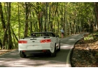 CAMARO.RENT сервис проката кабриолетов.