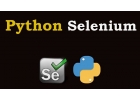 Программа для накрутки ПФ в Яндекс.Картах на Python Selenium